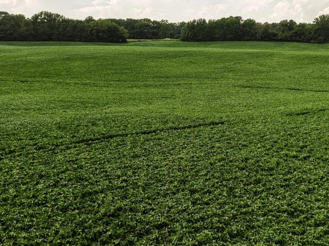 68 Acres in Tipton County, TN 
