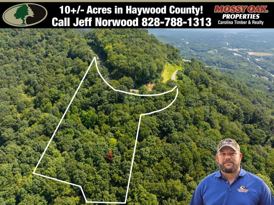 Lot 22 - Lovebird Lane in Canton, NC!
