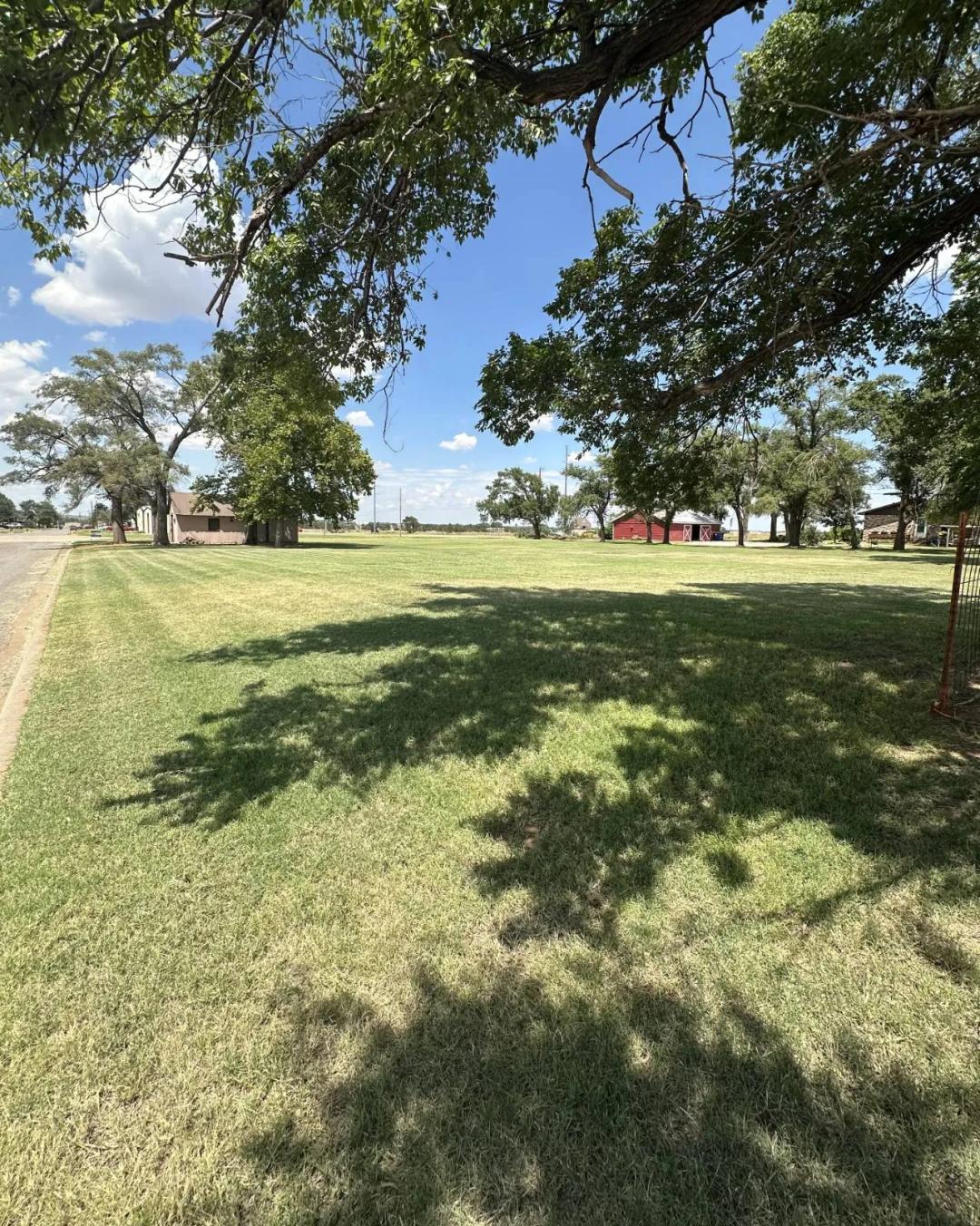 8 Vacant Lots with a Shed in Alva!