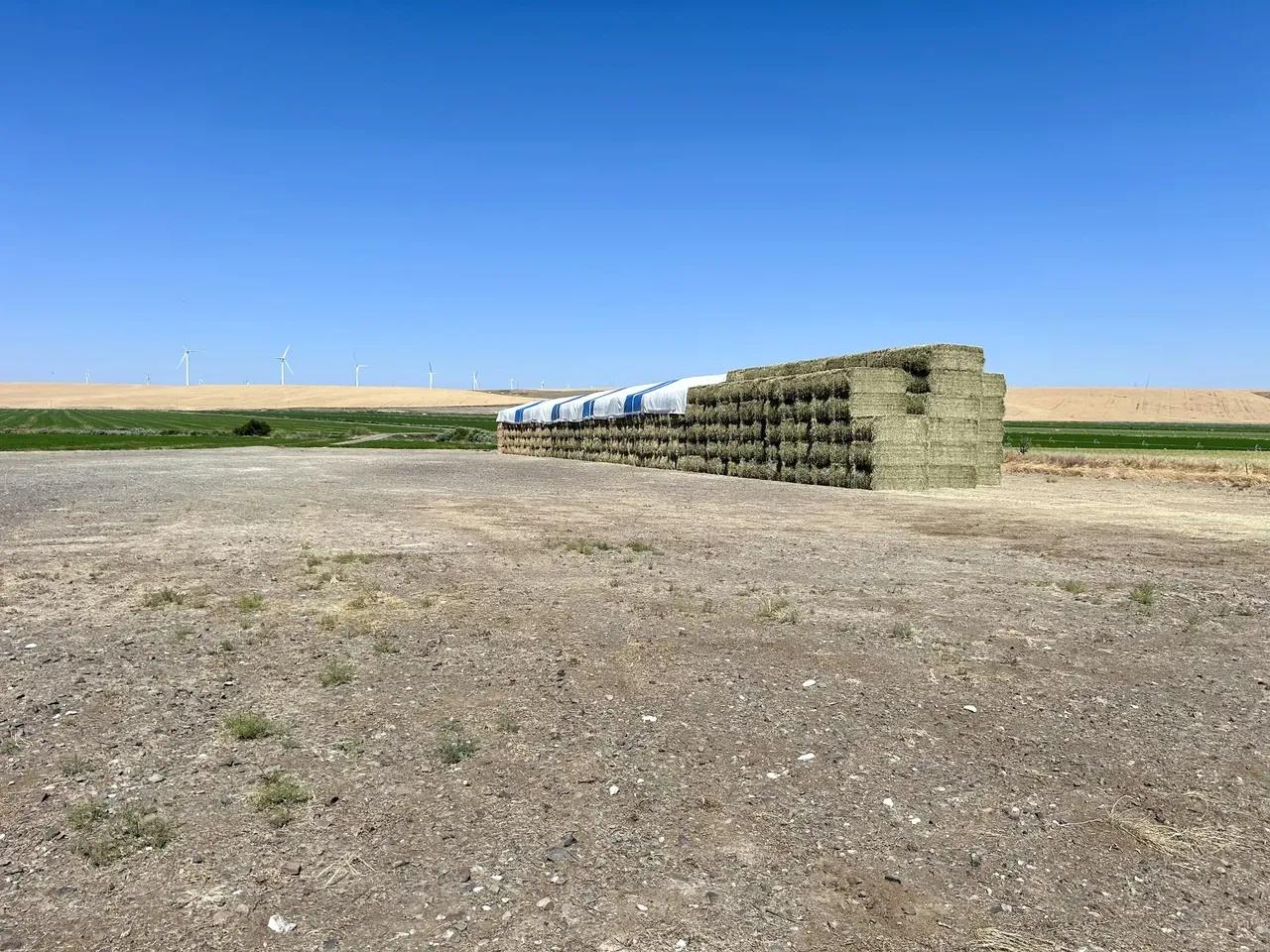 46251779-12