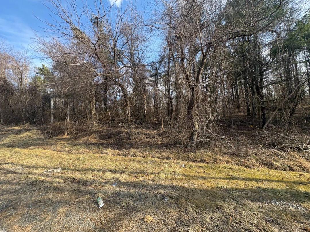6.87 ac N. Main St. Hillsville, VA-Town Water&amp;Sewer Available