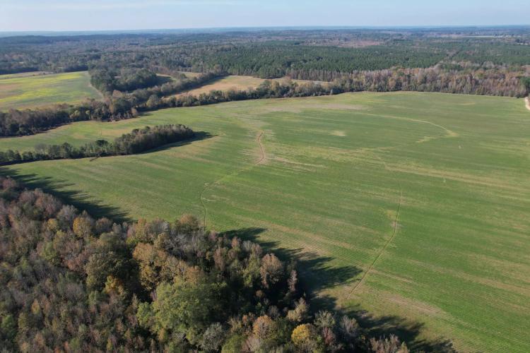 202.43 Acres in Attala County, MS