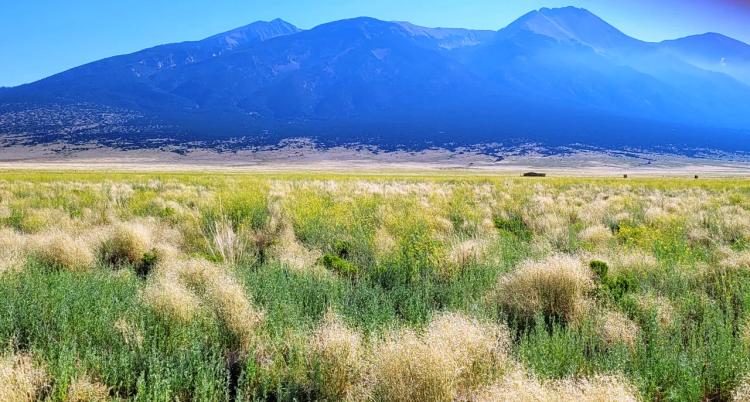 5 acre corner Lot with incredible Mountain Views