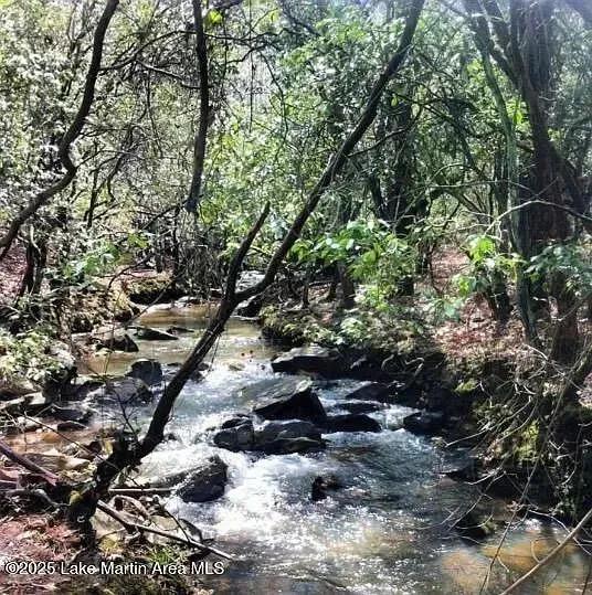 40 Acres of Land for Sale in Eclectic, Alabama