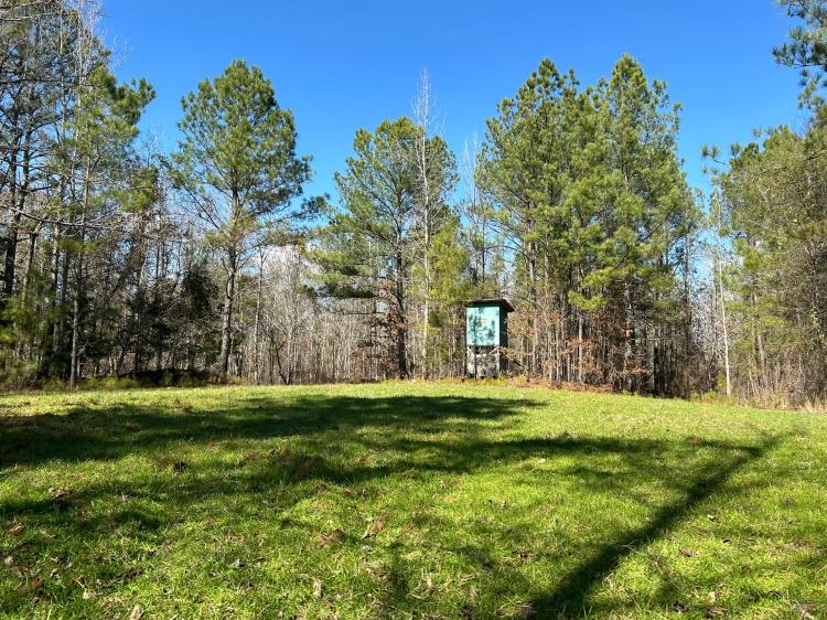 80 Acres in Attala County, MS off County Road 5001