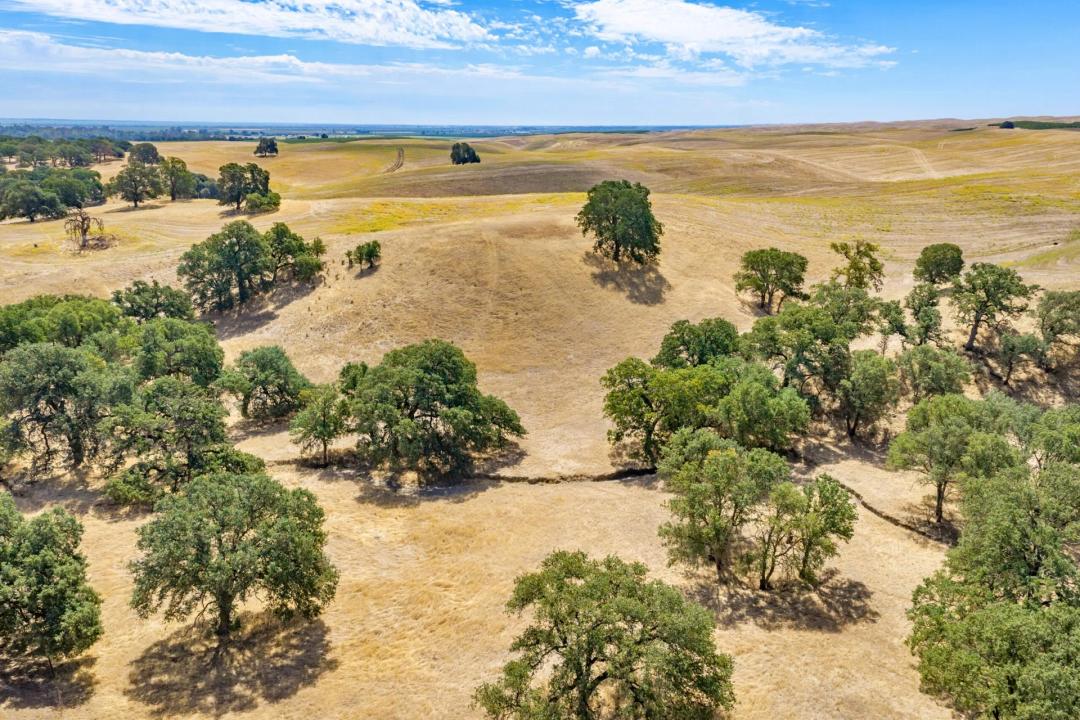 Dunnigan Hills Estate