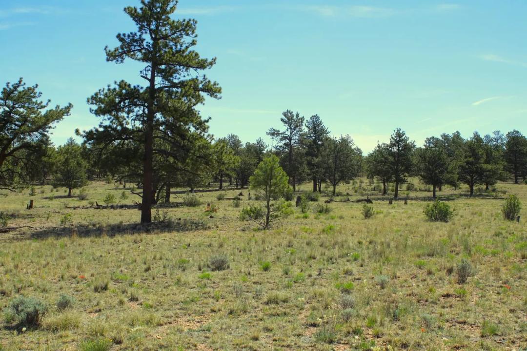 Elk Ridge Ranch