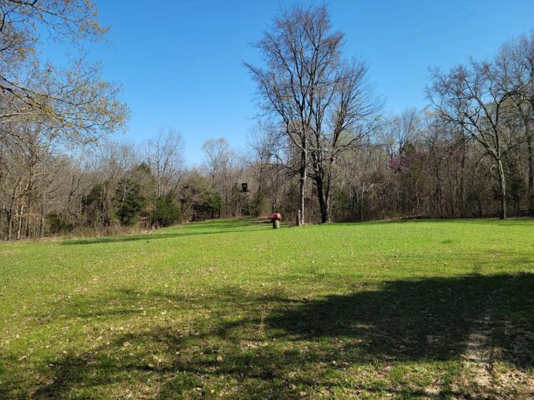 LIVE WATER*HUNTING CABIN*FOOD PLOTS*ESTABLISHED TRAILS* BLINDS