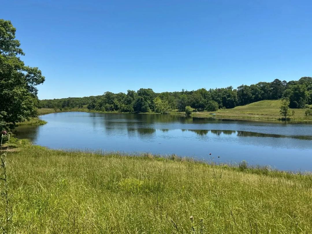 125.99 Acres in McCurtain County, OK 