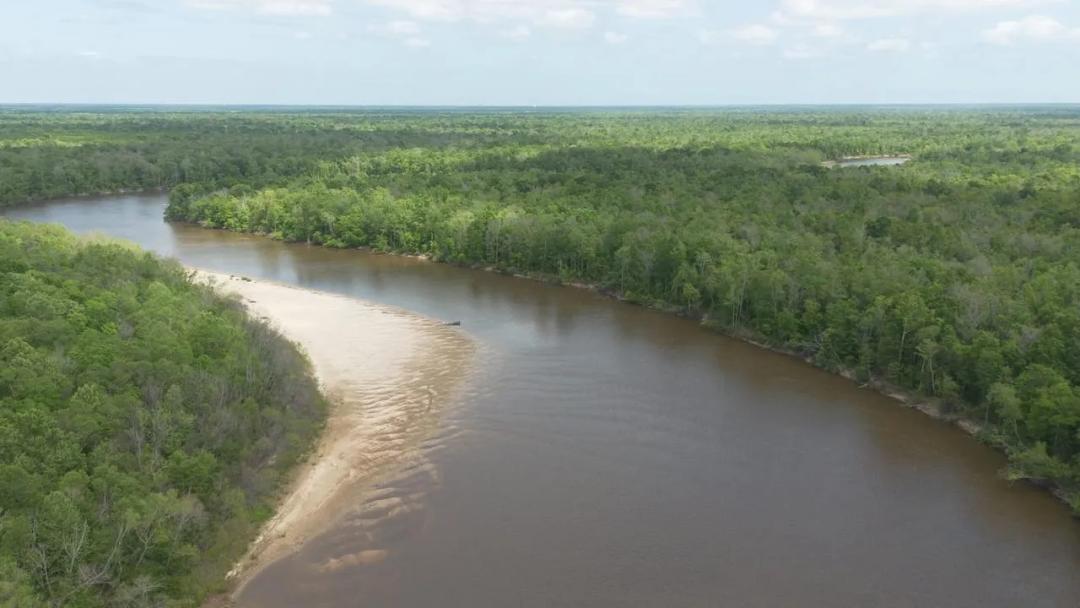 385 Acres Pearl River Frontage Louisiana