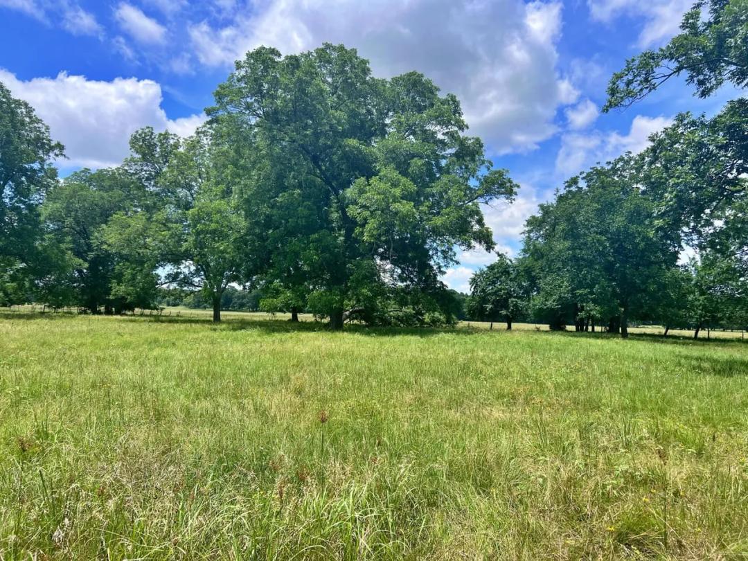 Delta County TX Farm for Sale