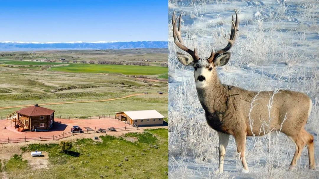 Premier Wyoming Trophy Mule Deer Hunting Property