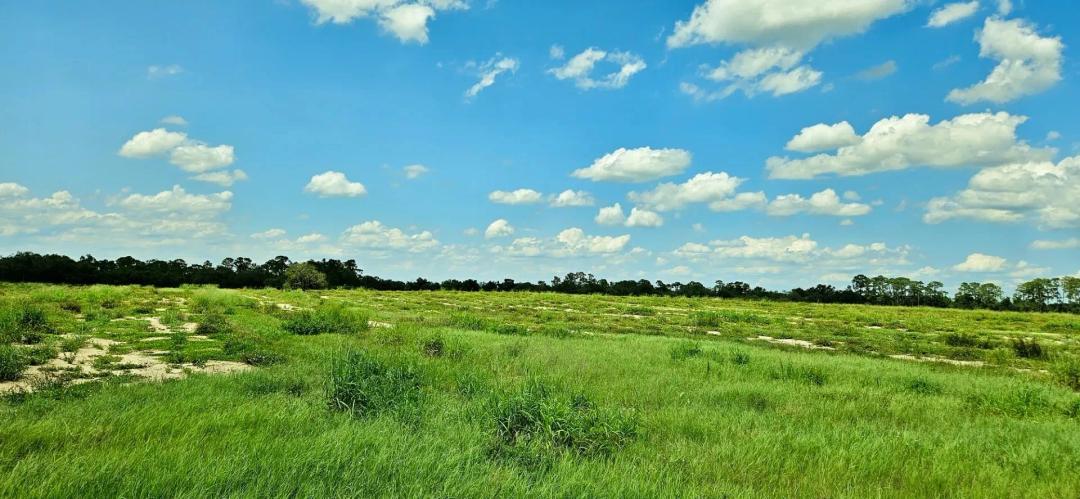 Mammoth Grove Rd Lot 2