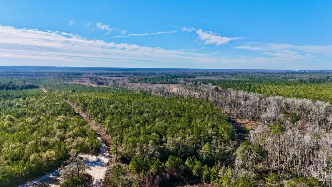 5.75 Acres in Tillman Cemetery Road, Lumber City, GA