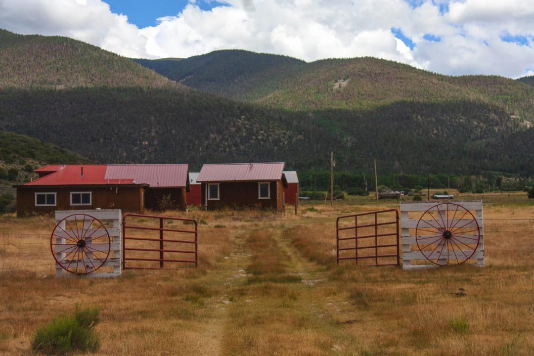 Amalia Elk Haven