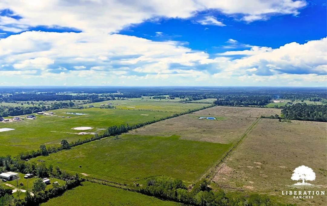 DAYTON Tract 13 | 11+ Acres | Only $15K Down