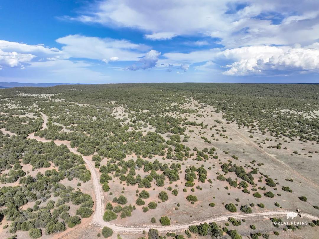 Rowe Mesa 56
