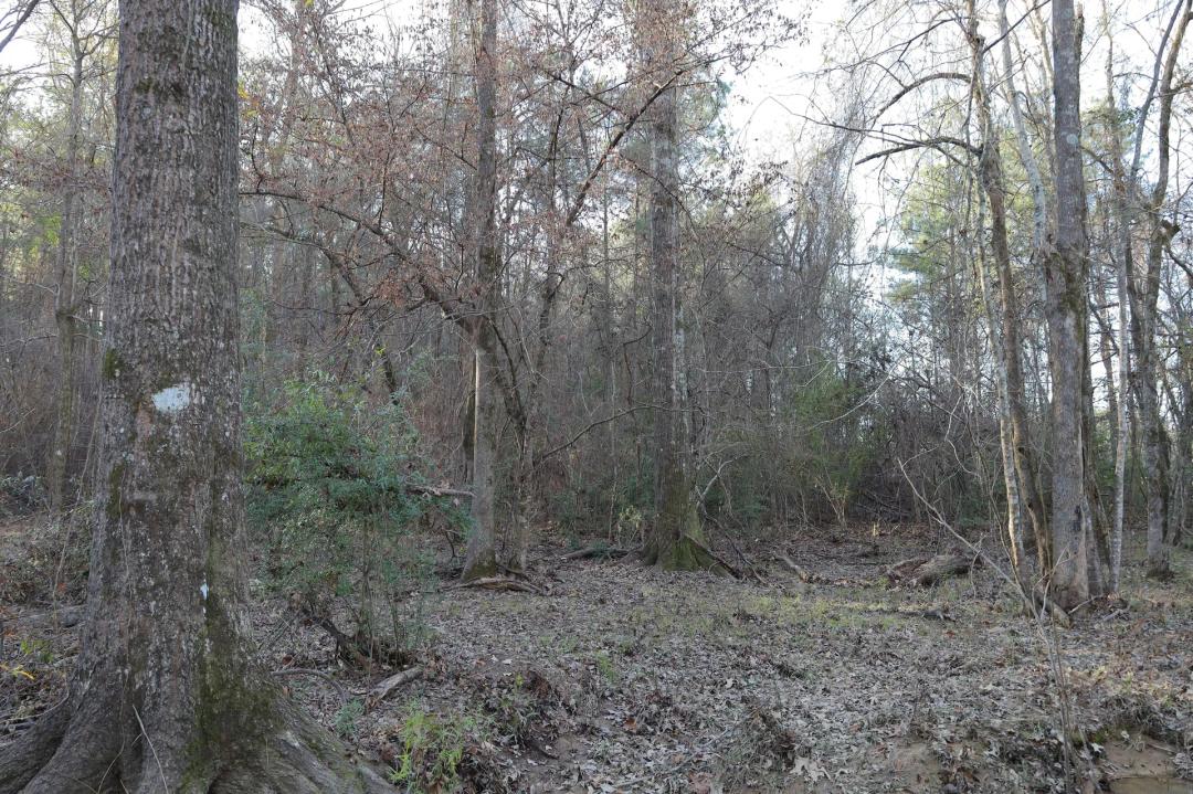 LA - Caldwell 21 acres +/-