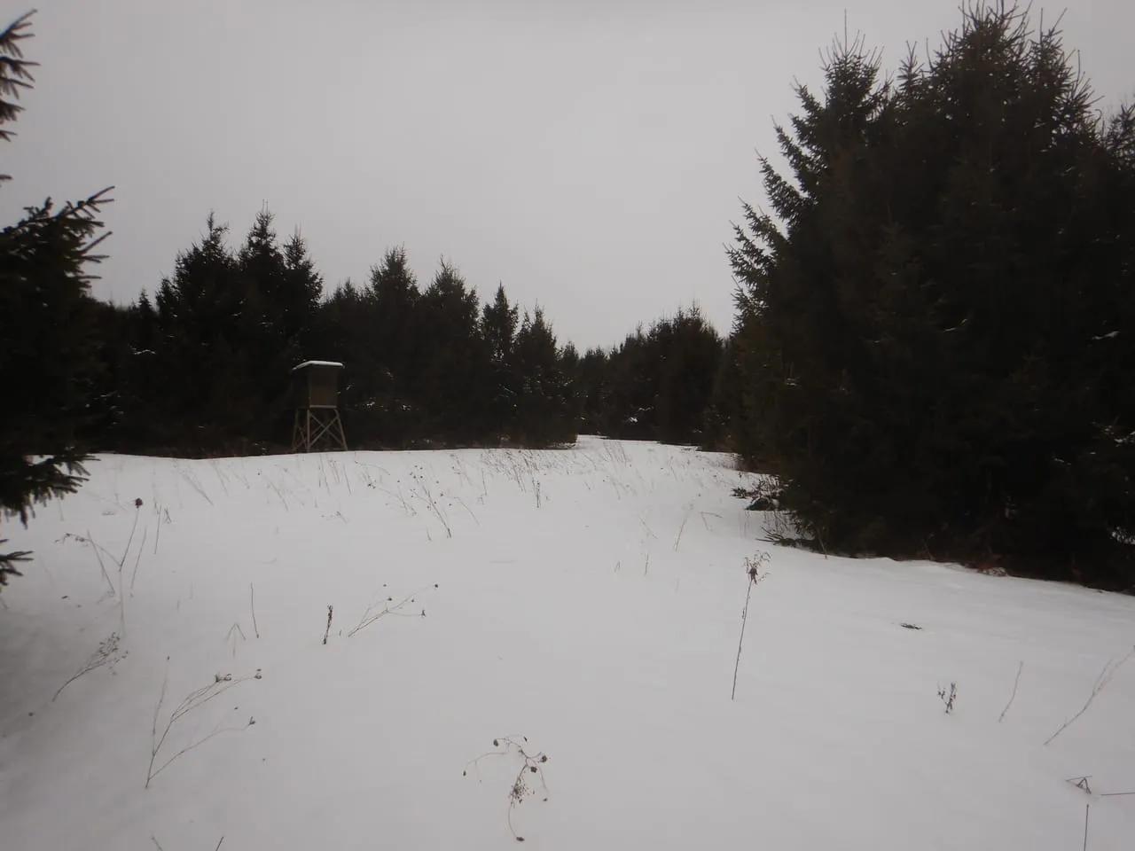 46637447-8
