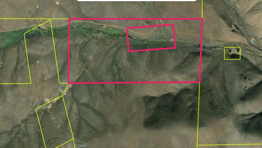 Remote Central Nevada Mountain Land with Duck Creek.  Borders BLM lands