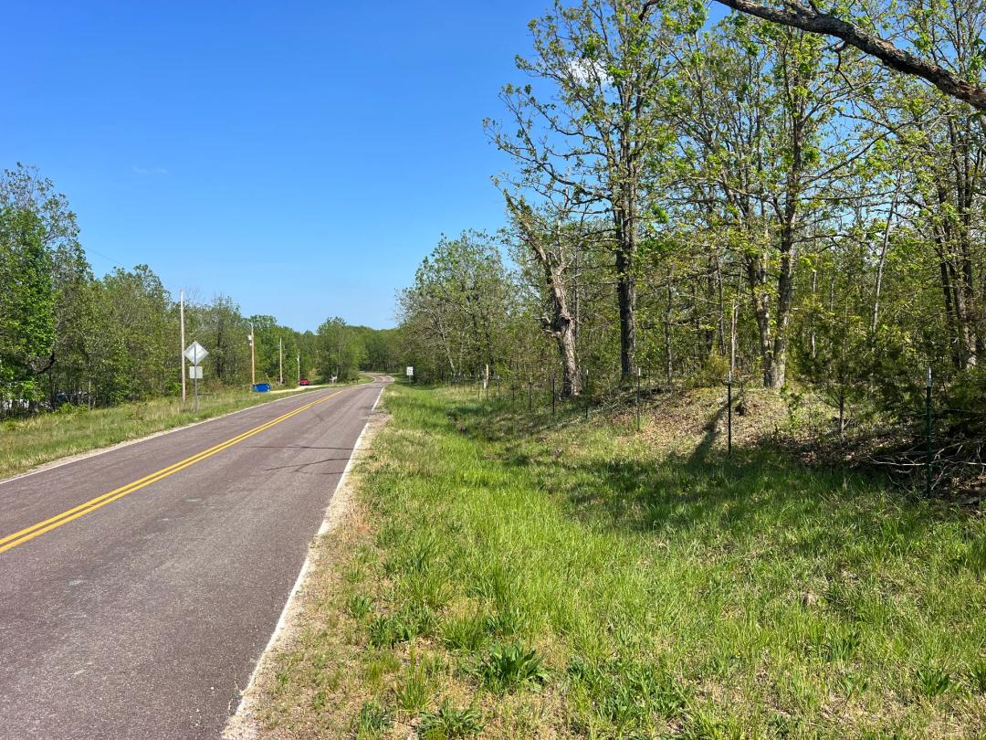 Dallas County 60 Acre Recreational Tract