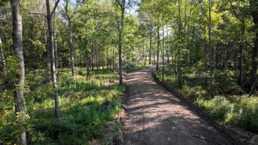 Clay County, MS - 435 Acres - Tibbee Creek Timber Tract
