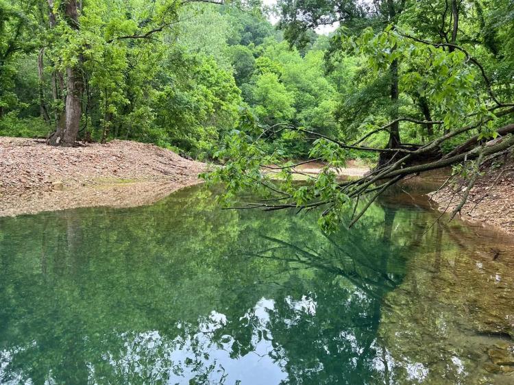 319 Acres In Delaware County