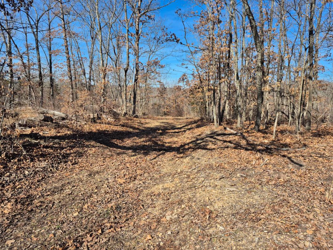 Kroenke Trail 65