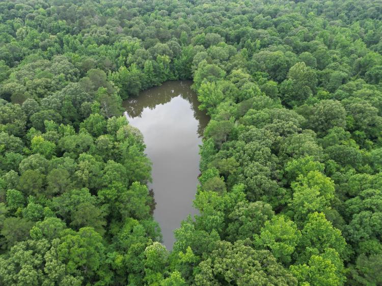 45.21 Acres in Yazoo County, MS 