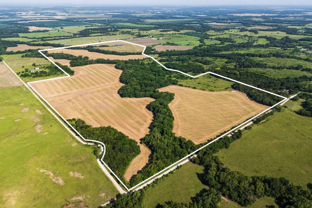 260± Acres of Premier Hunting &amp; Income-Producing Land