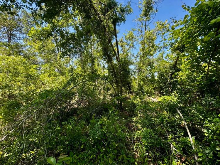 18.5 Acres Waterfront