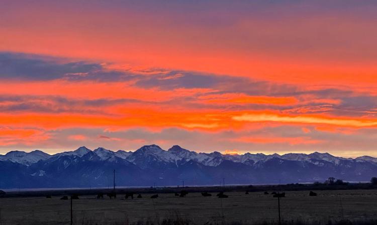 Saguache Colorado Ranch For Sale
