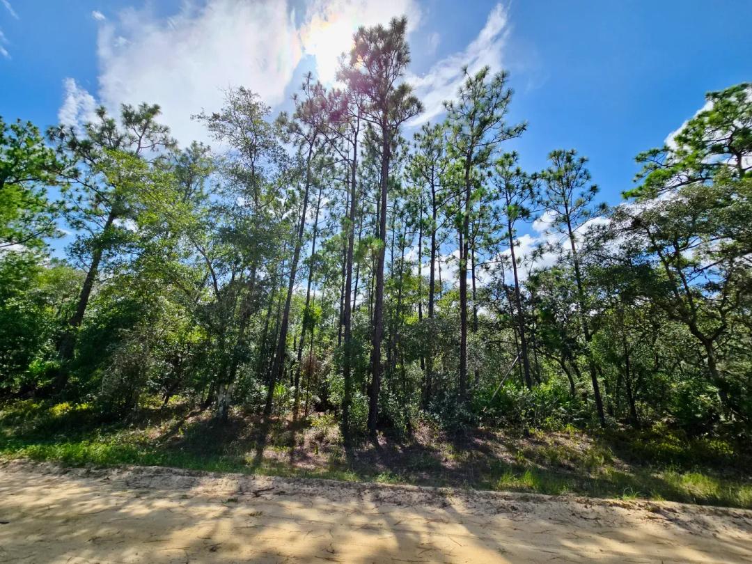 SPACE! Beautiful Double Lot