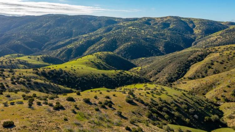 Freestar Hunting Properties