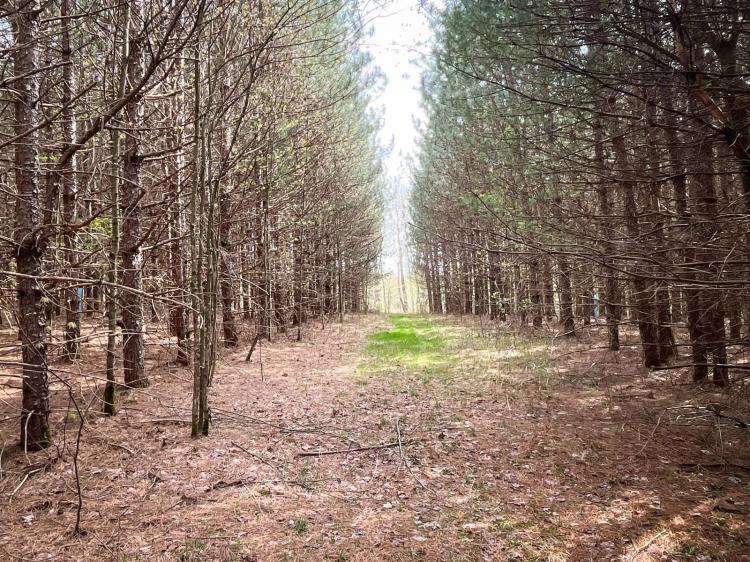 Well-Managed Woodland Escape South of Ithaca