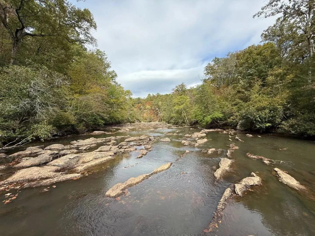 Socapatoy Creek Tract 20+/- acres