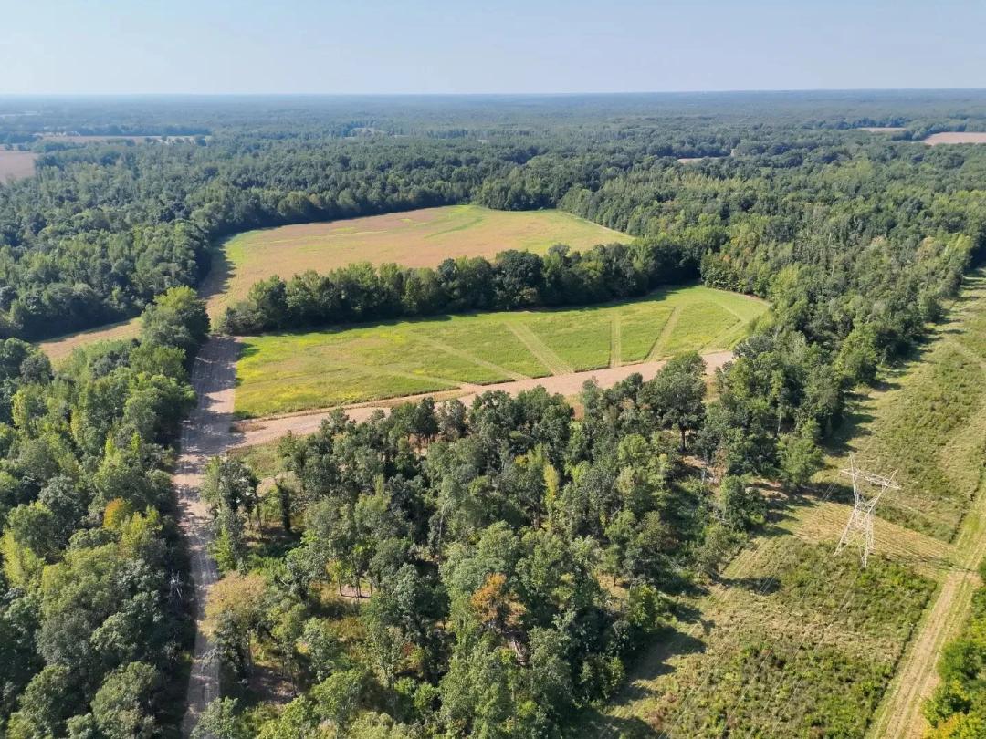 48.76 Acres in Madison County, TN 