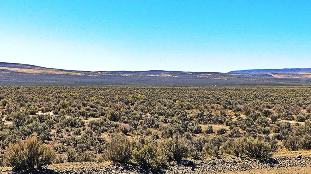 Northern Nevada Remote 40 acres just off SR 477 - Clear Blue Skies - Star Filled Nights