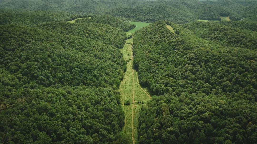 580 Acres with a Cabin in Lewis County, KY 