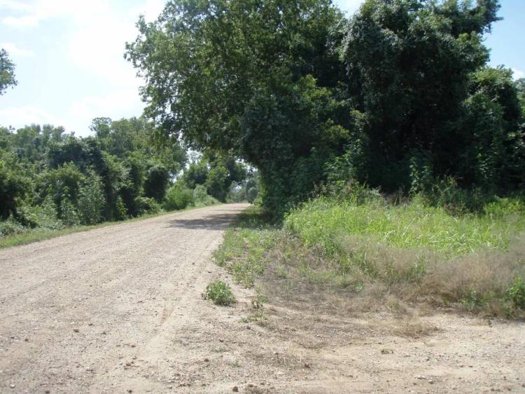 Bastrop Texas Tahitian Village 2 treed lots