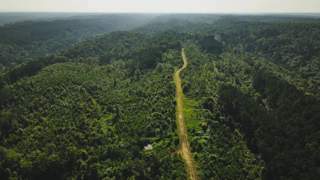 881 Acres in Howard County, AR 