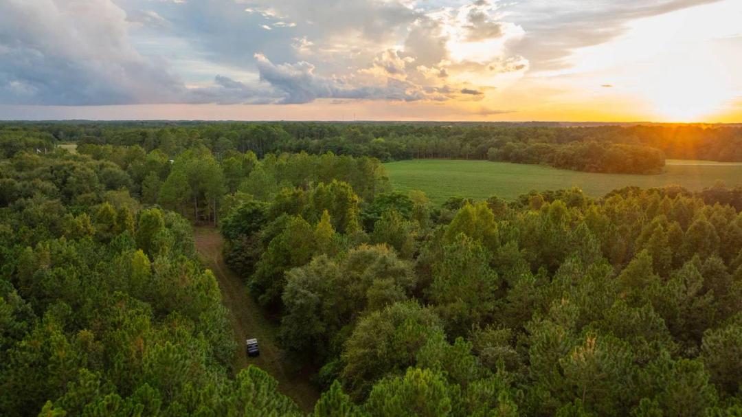 The Moore Farm - 258± Acres