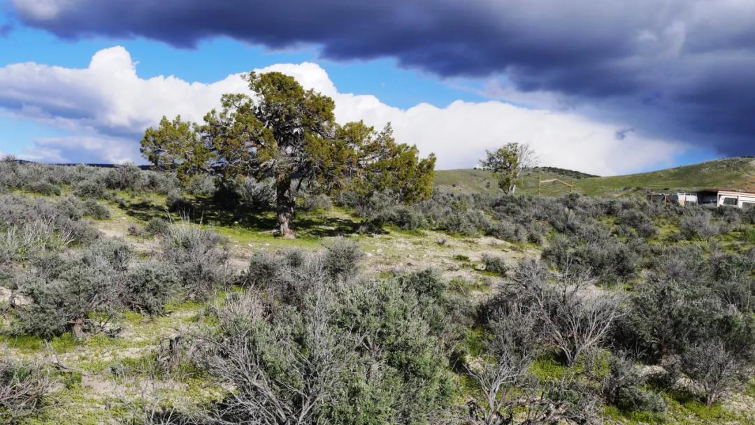 Scenic Parcel West of Elko - Camp RV Build