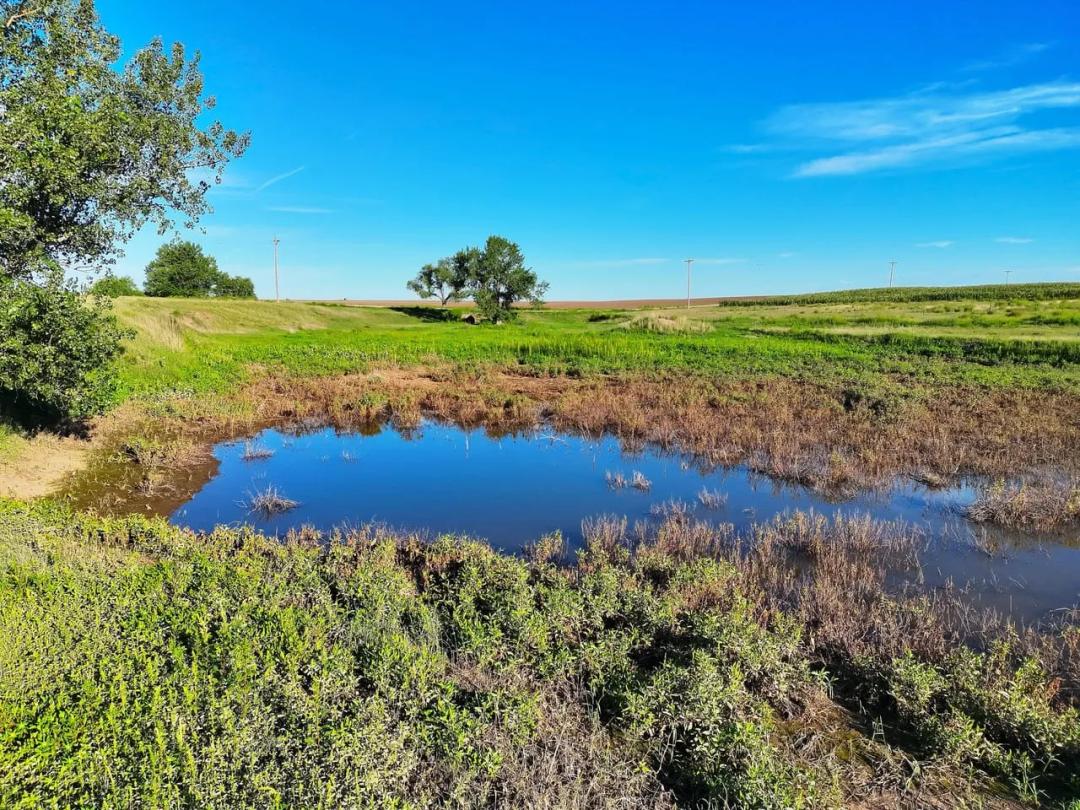CRP Creek Bottom Recreational Property with Potential Building Sites