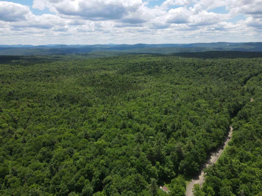 33.43 Acres of Privacy &amp; Potential