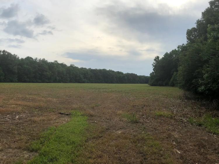 Great development property.