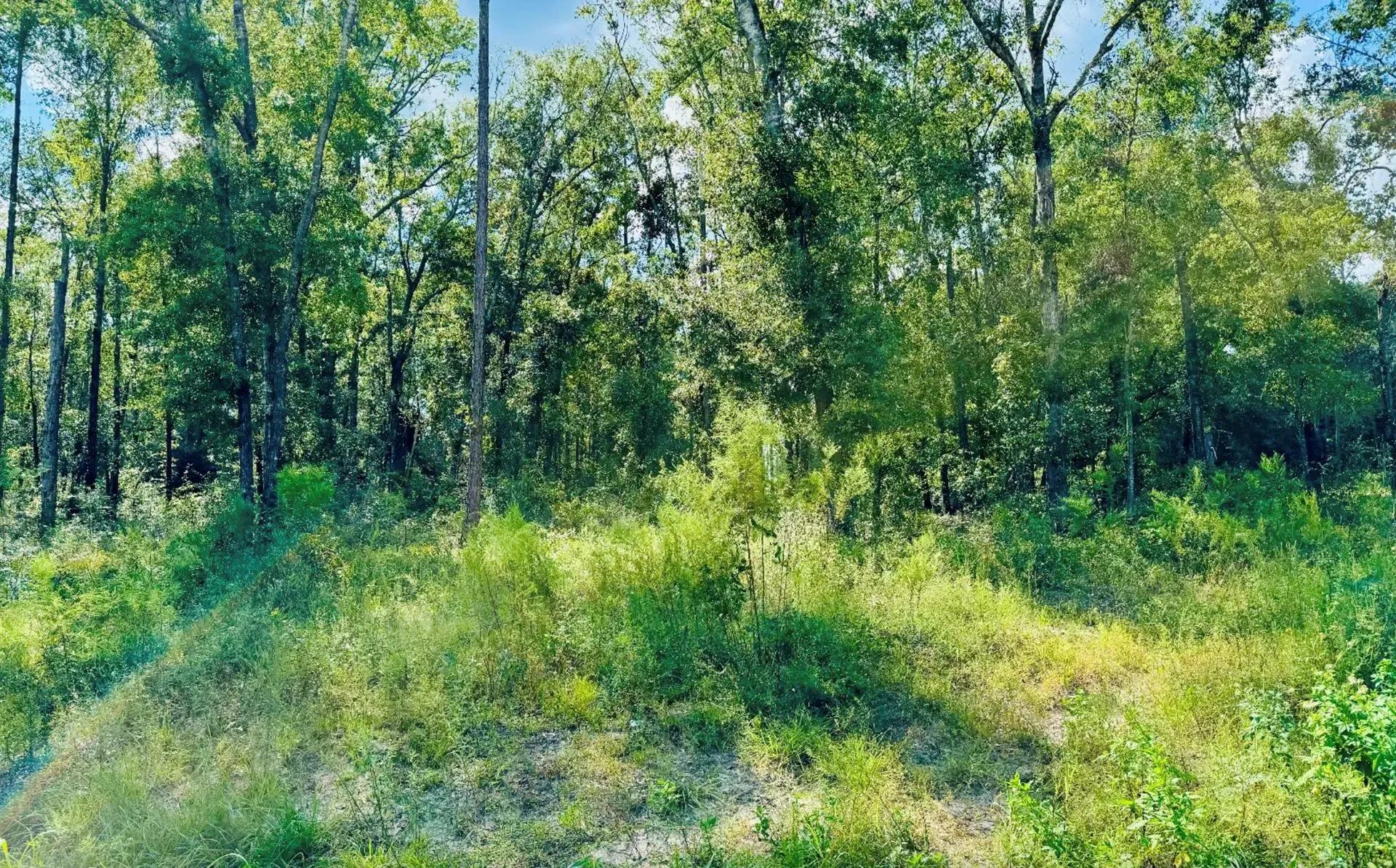 47128183-5