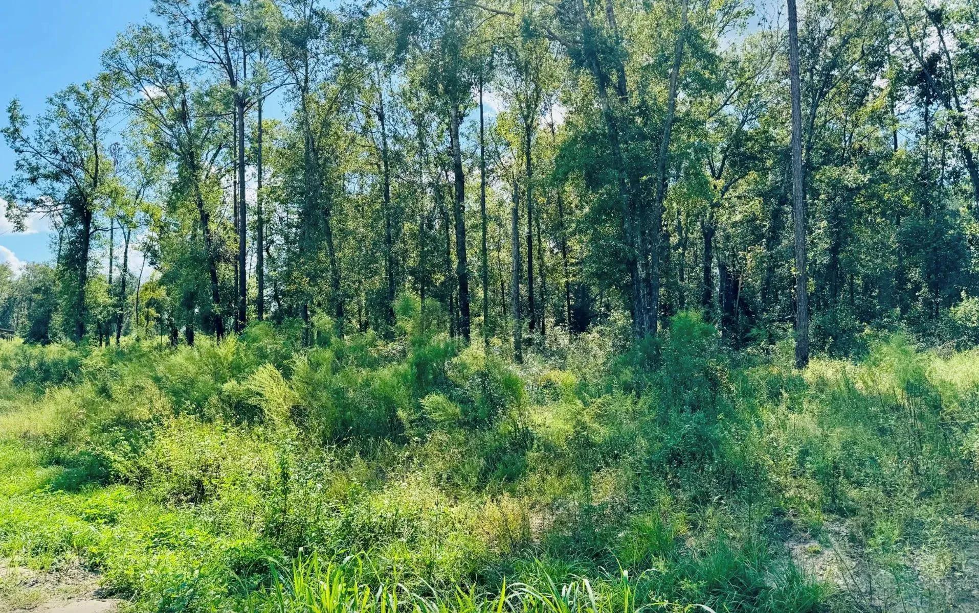 47128183-6