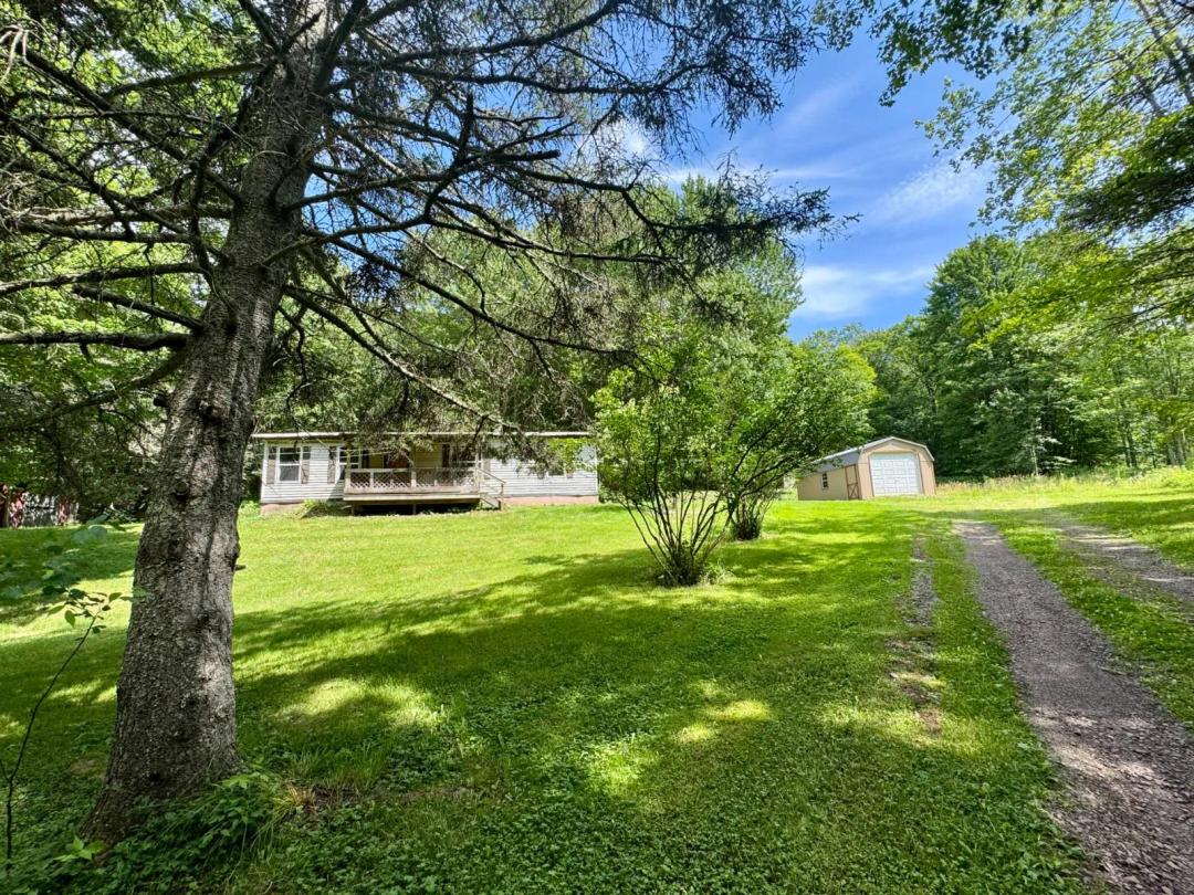 Affordable Bovina Acreage