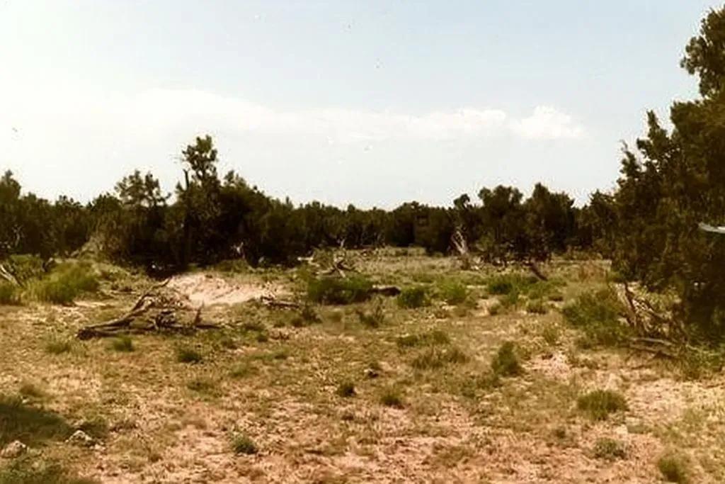4.66 Acres, Apache, AZ, 206-13-175